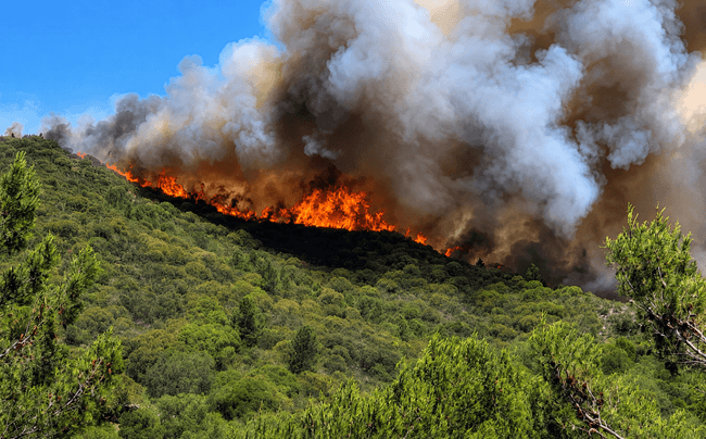 “Ecocidio”. CRA alerta por proyecto de ley que “pone en riesgo la seguridad jurídica y el estado de derecho”