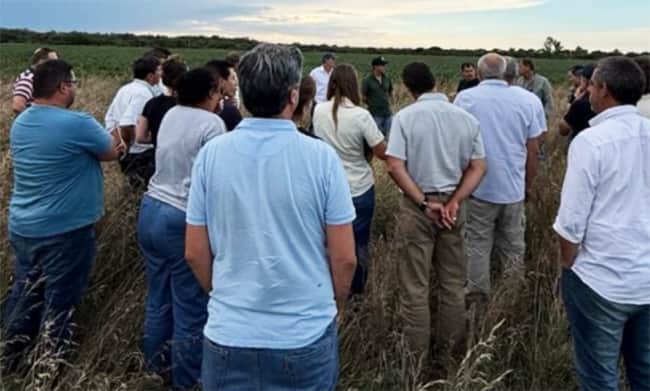 Jornada de Tranqueras Abiertas de CREA Norte de Córdoba: para conocer y ser parte de los Grupos