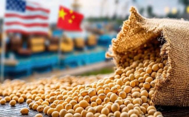 Mercados agrícolas. Generalizada tónica alcista en Chicago: la soja posición julio alcanzó los US$500