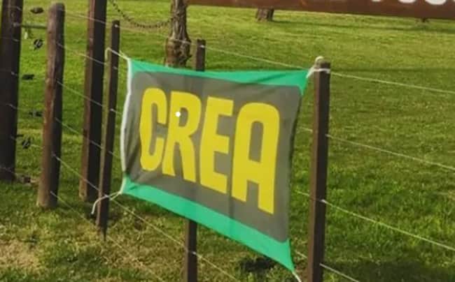 Desafíos que enfrentan las empresas agropecuarias: en foco en el Congreso regional de CREA Córdoba Norte