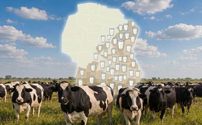 Lechería. Un nuevo mapa digital muestra cuántos litros de leche produce cada departamento en Córdoba