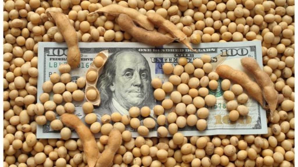La soja llegó a su precio máximo en la era Milei