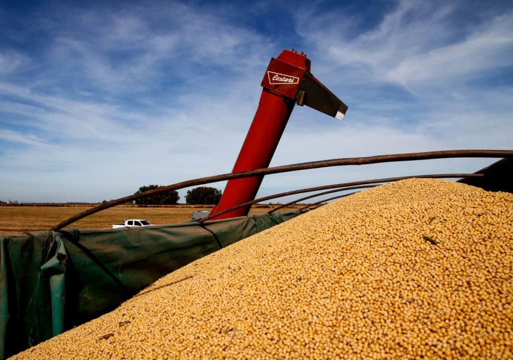 Ingreso de divisas: el agro liquidó US$2.750 millones en agosto y registra una caída del 12% en el año