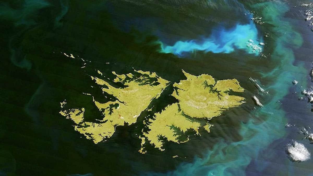 El Gobierno endureció los controles por Malvinas para ingresar al RIGI