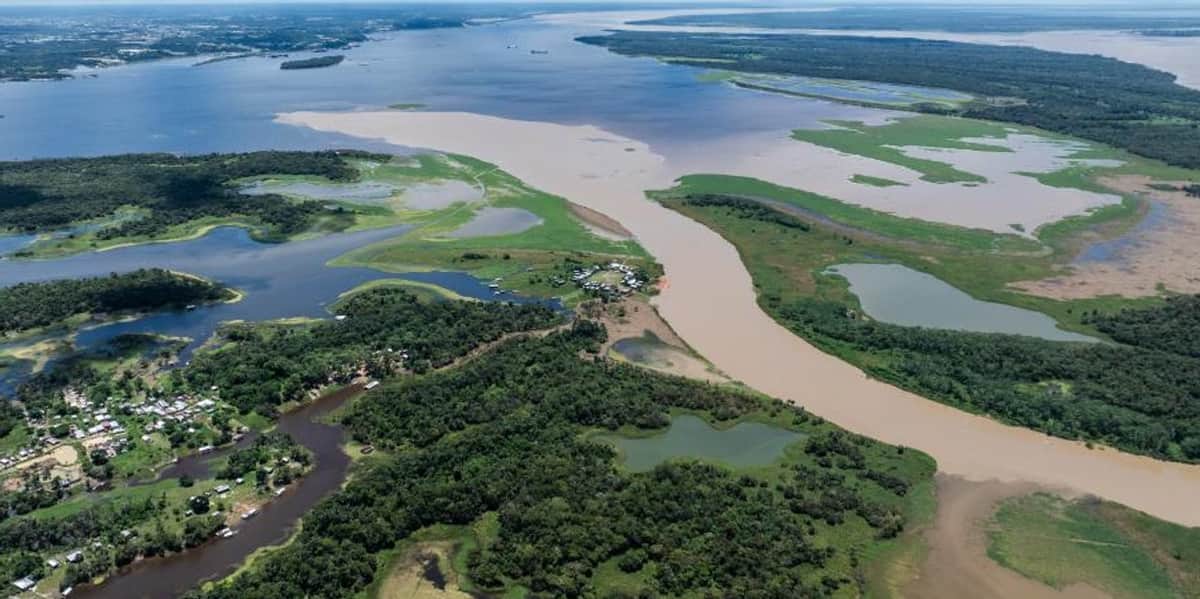 La deforestación en la Amazonia de Brasil acelera la transmisión de enfermedades