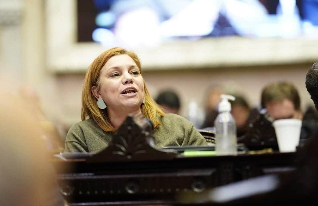 Ley de Zona Fría: Banfi cruzó a Vischi y lamentó el debate