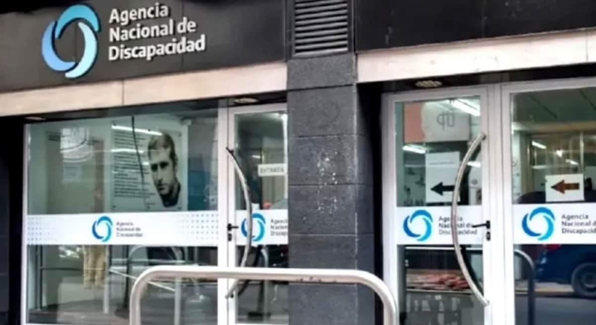 Causa ANDIS: detectaron presuntas irregularidades en compras con sobreprecios y una prótesis que nunca fue entregada