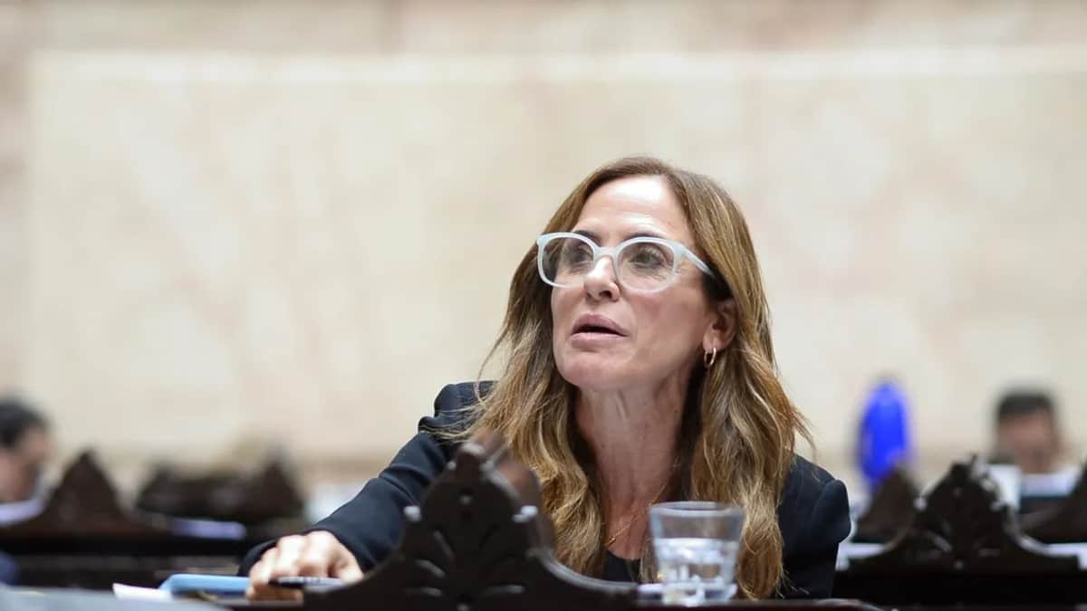 Tolosa Paz sobre el proyecto de Discapacidad: “Logramos corregir un dictamen que estaba incompleto”