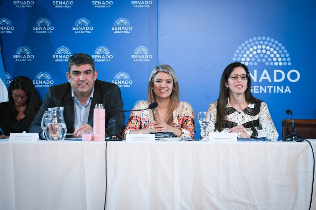 El Senado retoma en comisión la reforma de Salud Mental con debate sobre internaciones involuntarias