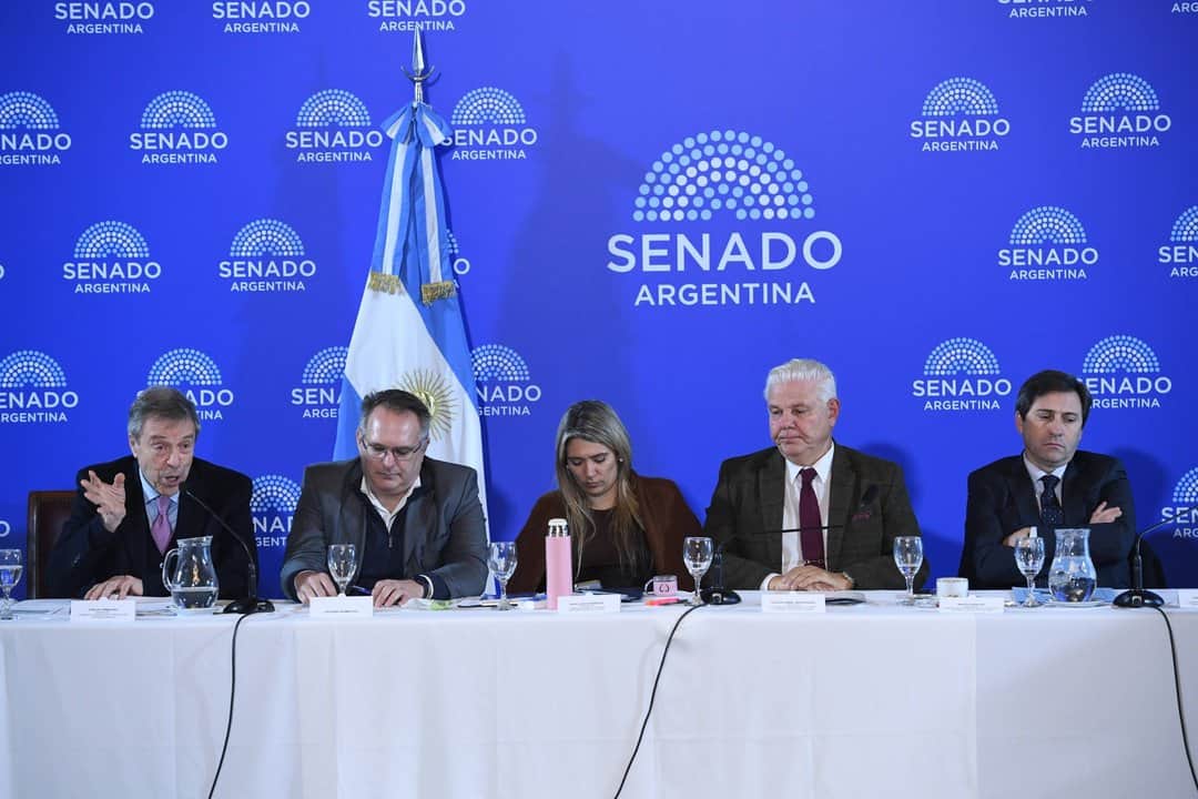 Senado: la Casa Rosada no quiere cambios en el RIGI, pero Bullrich avanzaría para lograr consensos