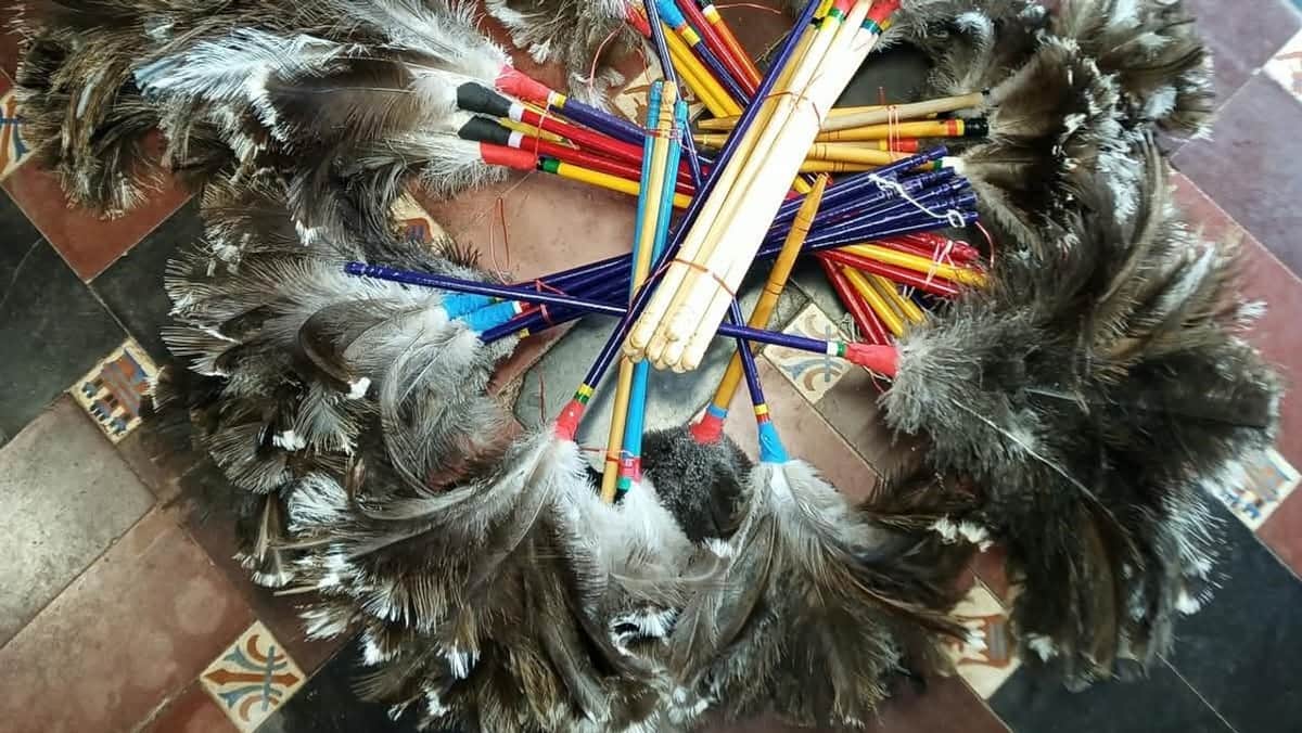 ¿Por qué secuestraron 50 plumeros en Mendoza?