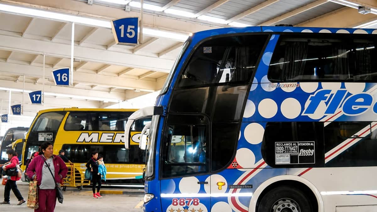 Colectivos de larga distancia: nueva promoción de pasajes en 12 cuotas sin interés, requisitos y cómo acceder