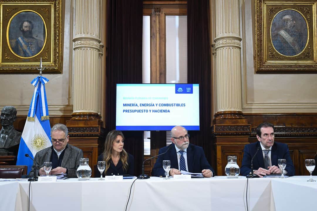 El Senado debate la reforma de biocombustibles: los nuevos obstáculos para LLA