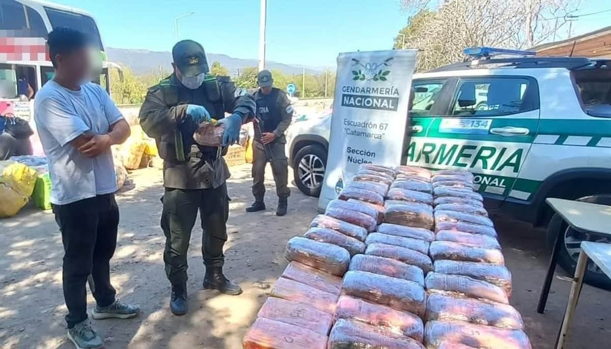 Catamarca: decomisaron marihuana y cocaína escondidas en capibaras de peluche