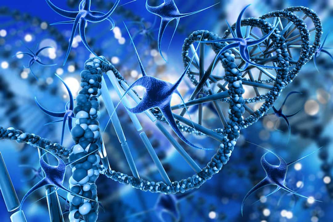 La odisea diagnóstica pediátrica: familias pasan hasta una década sin saber que sus hijos tienen una genodermatosis