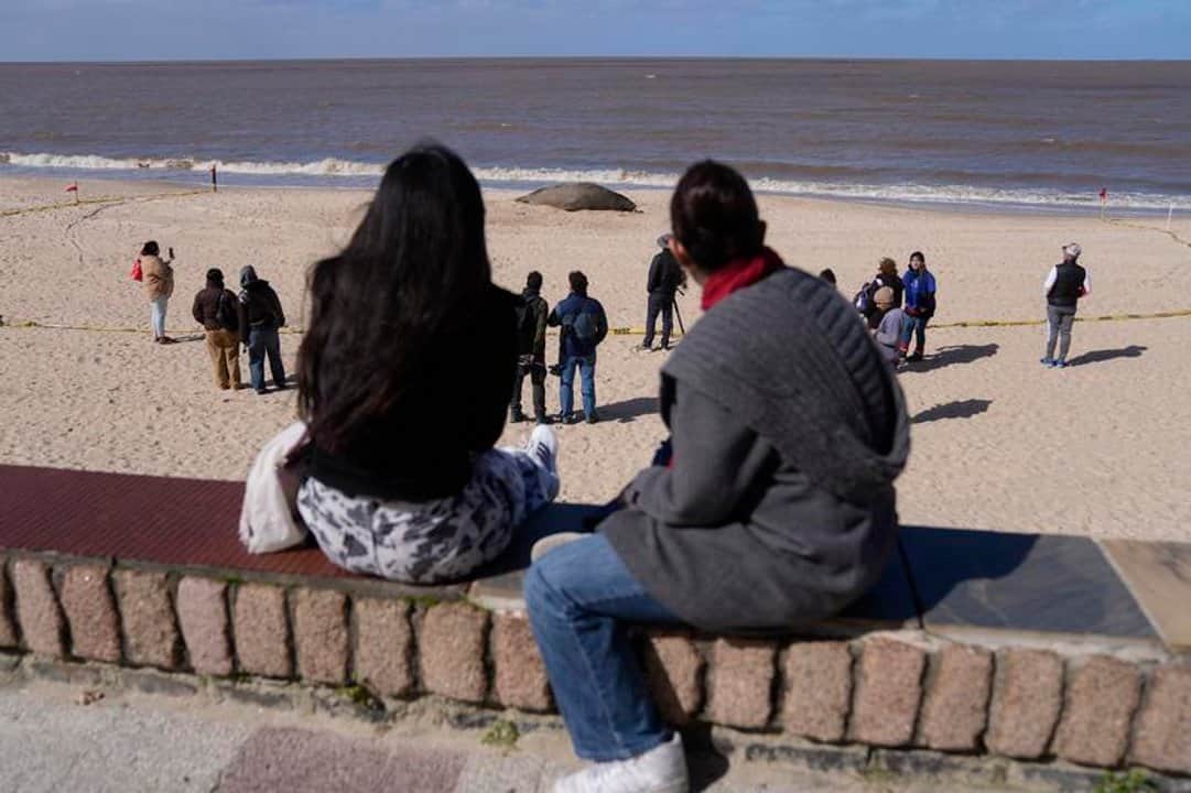 Uruguay crea incentivos para aerolíneas que aumenten el turismo internacional