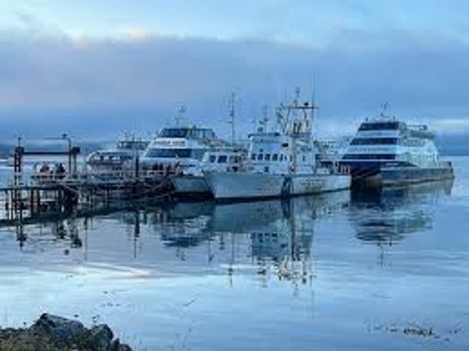 Turismo alertó por seis semanas sin clases y una crisis portuaria en Tierra del Fuego