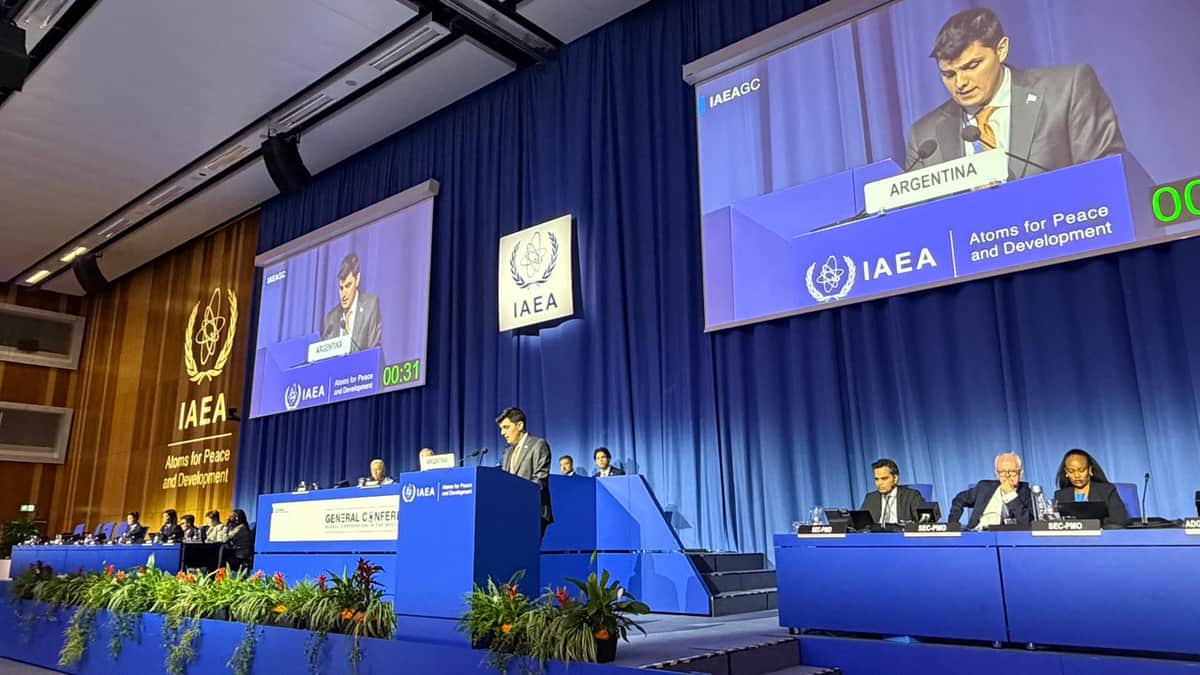 Ramos Napoli presentó en Viena la estrategia argentina para expandir el sector nuclear en el mercado mundial