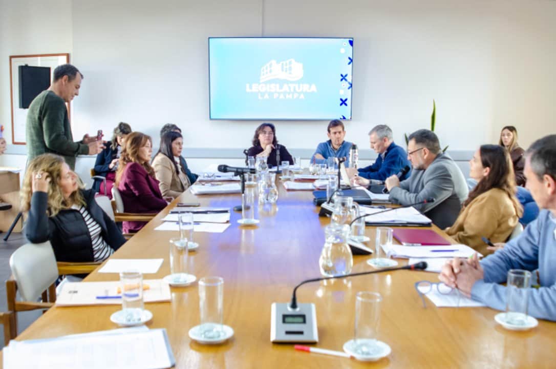 La Pampa: dictamen unánime para investigar a Niñez por el caso Rancul