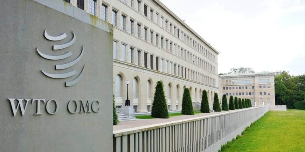 OMC advierte que el debilitamiento de normas comerciales reduciría el PIB mundial hasta en un 10 %