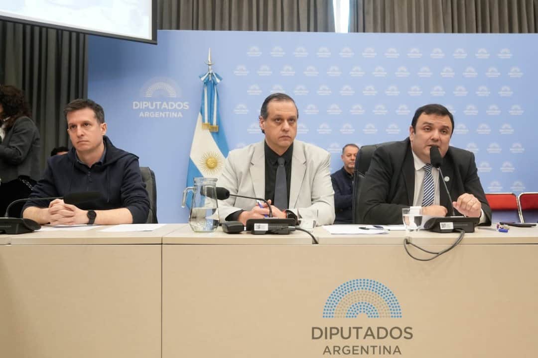 Avanzó en Diputados el debate por la emergencia en Discapacidad, con filosas críticas al Gobierno por el Presupuesto