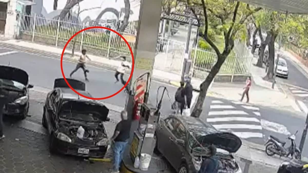 Video: pelea y muerte en Constitución