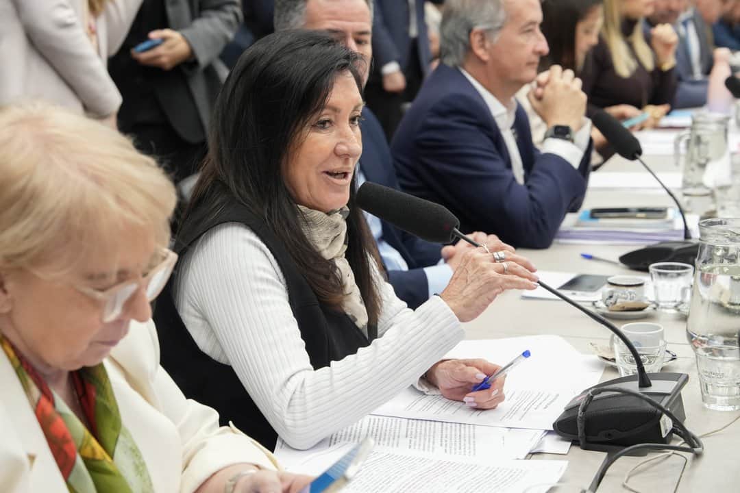 Tras el volantazo, el oficialismo se impuso y logró emitir dictamen al proyecto sobre Discapacidad