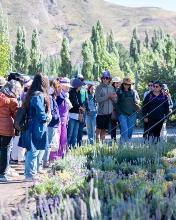 Río Negro superó el millón de turistas en los primeros nueve meses de 2026