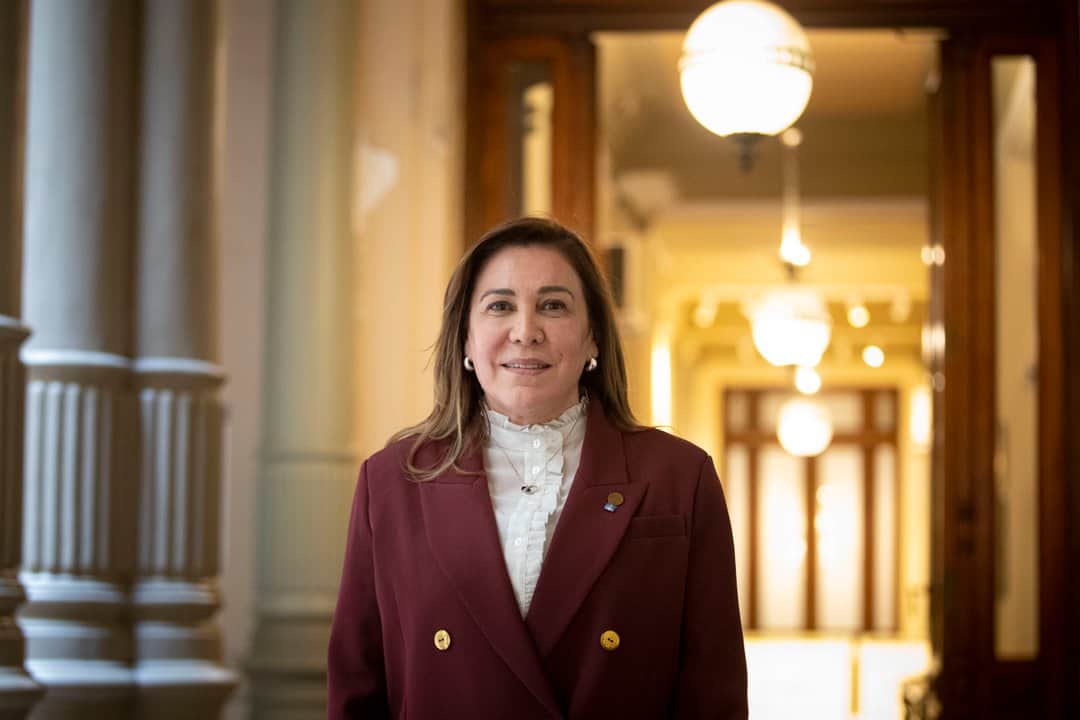 La senadora Ávila defendió las PASO y acusó a Milei de querer una “ley a su medida”