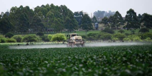 En un fuerte respaldo para la ley de agroquímicos en Entre Ríos, el Tribunal Superior de Justicia anuló amparos que establecían exageradas áreas de exclusión (de más de 1 kilómetro) para las aplicaciones