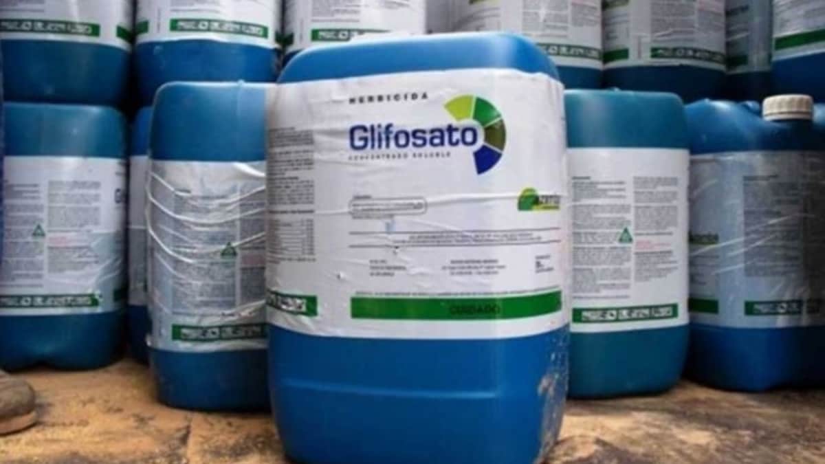 Nuevo capítulo para la novela del glifosato en Misiones: Desafiando a Rovira, el gobernador Passalacqua ordenó avanzar con una ley que frene la prohibición de ese herbicida
