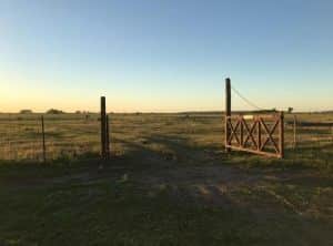 “Esto no tiene precio”: Aunque los “pooles” le toquen la puerta, Carlos Bender se aferra a la chacra donde construyó toda su vida y aprendió a luchar para sobrevivir