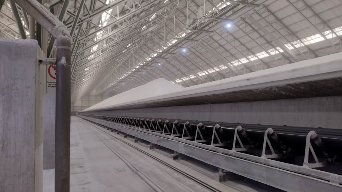 Bahía Blanca, camino a ser la “capital de la urea”: El consultor Preciado Patiño pone en números el impacto de los dos megaproyectos en carpeta
