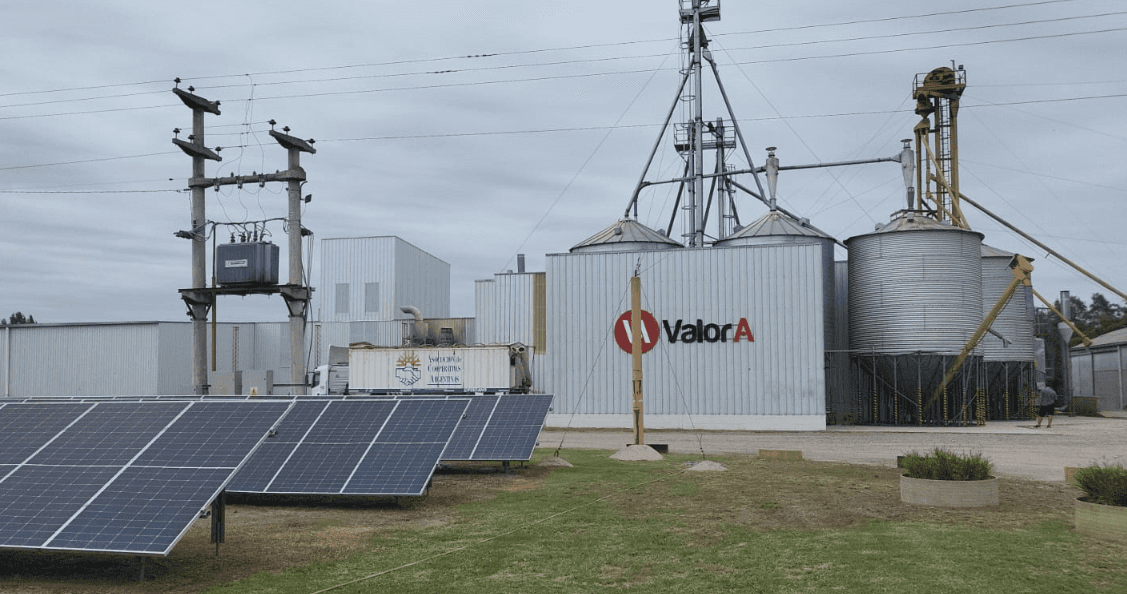 La empresa de biotecnología Moolec anuncia que pedirá su propia liquidación y crecen las dudas sobre el futuro de la cordobesa ValoraSoy