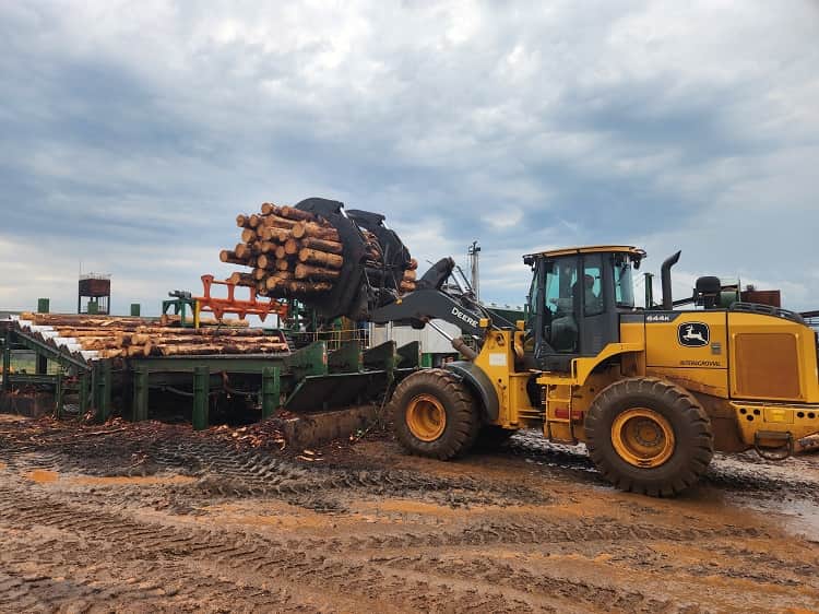 Piensan en exportar, pero sacar la madera del NEA no es fácil: La industria forestal insiste en combinar rutas, trenes y puertos para que la logística no se coma el negocio