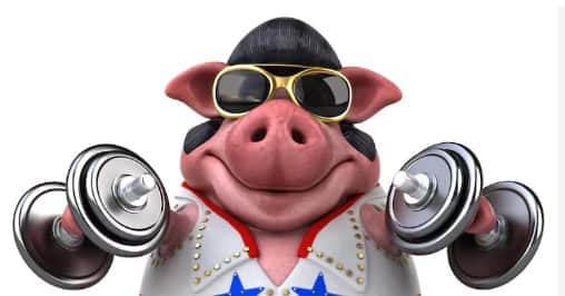 El cerdo se agranda en Argentina: La producción de carne porcina creció 12,4%, el consumo llegó a un récord y las exportaciones saltaron 74%