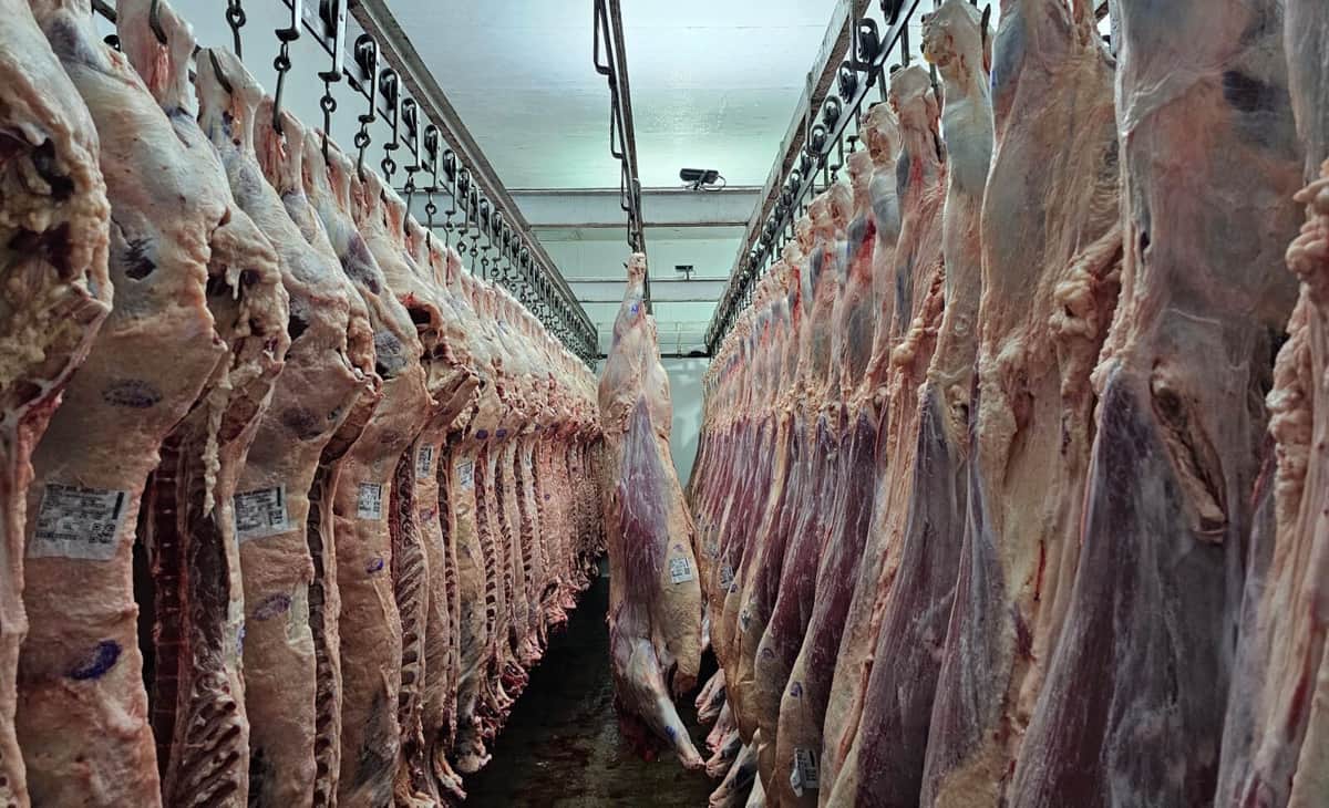 La carne juega a dos puntas: Las exportaciones crecieron 48% en valor y las importaciones ya aportan casi un kilo anual por habitante