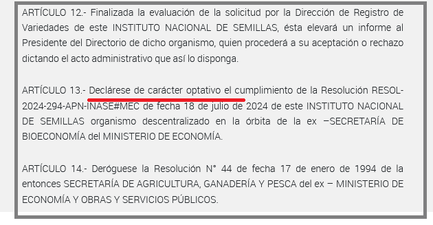 Vía libre para la “chicharrita del maíz”: Una resolución desreguladora del Inase pone en riesgo la campaña argentina de maíz 2026/27
