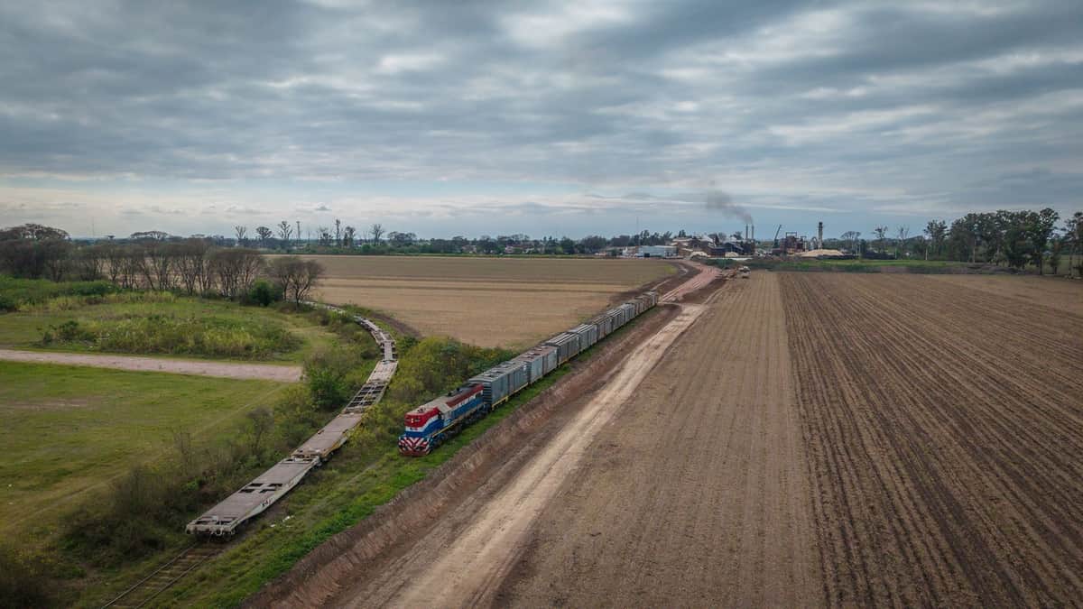 Que tren, que tren: Gracias al trabajo conjunto de los dos principales ingenios, logró reactivarse un viejo ramal del ferrocarril que será clave para potenciar las exportaciones de azúcar