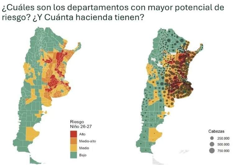 Alertan que más del 20% del stock bovino argentino se encuentra ubicado en zonas con alto potencial de riesgo hídrico