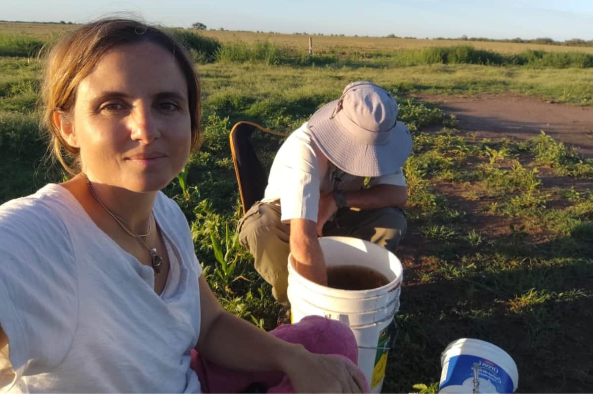 La historia de Virginia Otero y una Certeza: Dejó la arquitectura para continuar el trabajo en un campo familiar, donde empezó a producir girasol sin agroquímicos