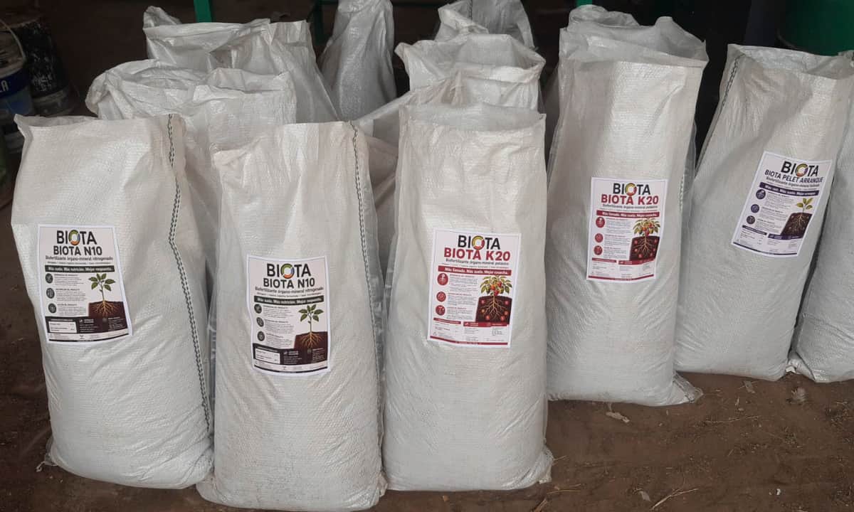 El sanjuanino Román Páez produce compost pelletizado en solo 15 días y logró hacerlo a gran escala: Quiere revolucionar la agricultura local y hacer fértiles los arenales