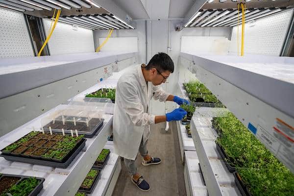 ¿Un vino hecho con uvas de semillas que viajaron al espacio? Un experimento estudiará los efectos de la radiación solar en muestras enviadas a la Estación Espacial Internacional