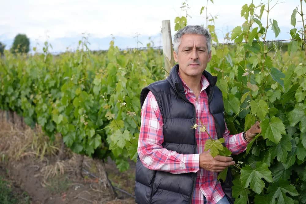 Las siete vidas del Valle de Uco: Carlos Dávila, productor de Tunuyán, vivió en carne propia todas las reconversiones en ese oasis, que pasó de las manzanas y peras a los vinos y duraznos, y que ahora busca refugio en el tomate y el ajo