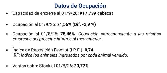 Crece la oferta de hacienda de los feedlots y también las pérdidas económicas, ante un consumo que no reacciona y una fuerte brecha con la invernada