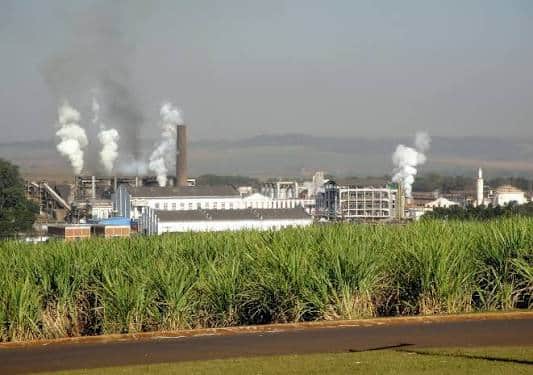 ¿Quién es São Martinho? El gigante brasileño que procesa 24 millones de toneladas de caña de azúcar, más que toda la Argentina
