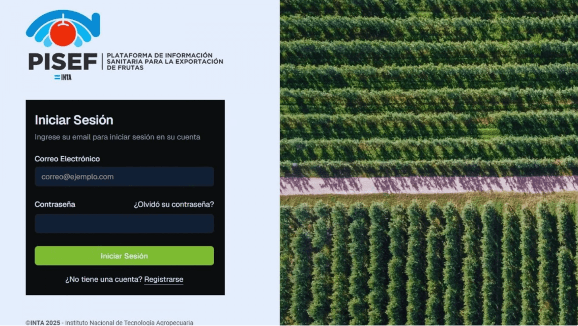 Un ojo en las plagas y otro en la exportación: El INTA desarrolló una herramienta gratuita para definir cómo tratar las peras y manzanas según su mercado de destino