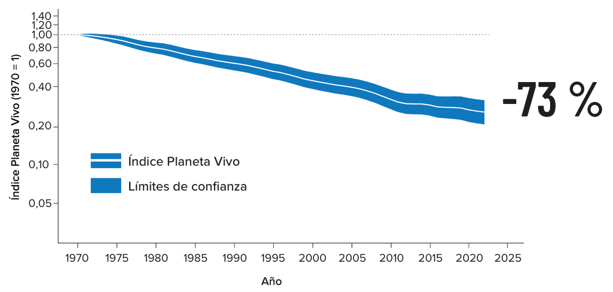Una caída del 73% en poco más de medio siglo: Un informe mundial alerta por el retroceso de la fauna silvestre, pero encuentra algunos motivos para tener esperanza
