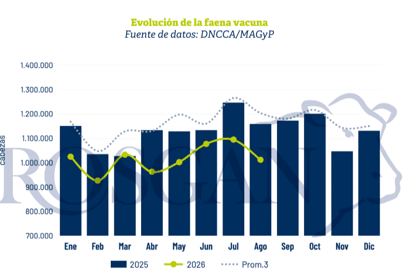 Yin y Yang: Un informe confirma la realidad de los frigoríficos, donde los exportadores festejan y los de consumo interno sufren
