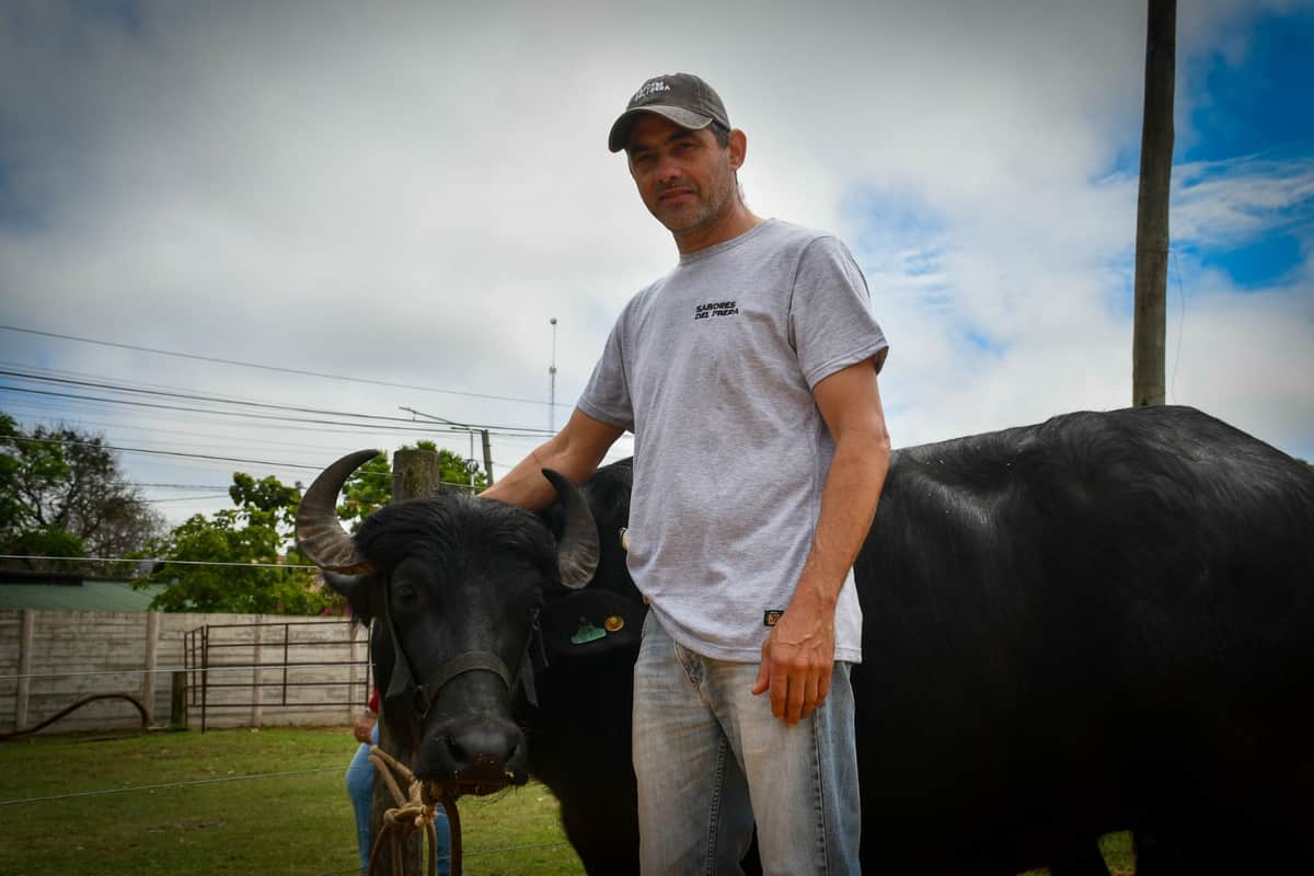 “El momento del búfalo es ahora”: Con un masivo congreso, los productores de Corrientes buscan ampliar la ganadería bubalina y abrir nuevos mercados para una carne que no tiene nada que envidiarle a la bovina